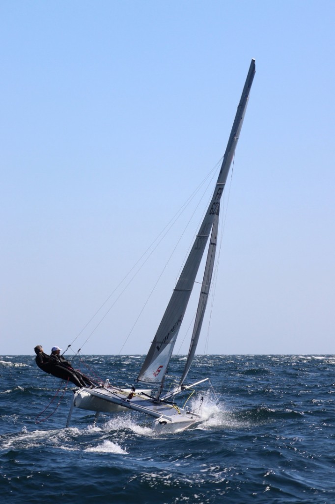 Viper, photo 10