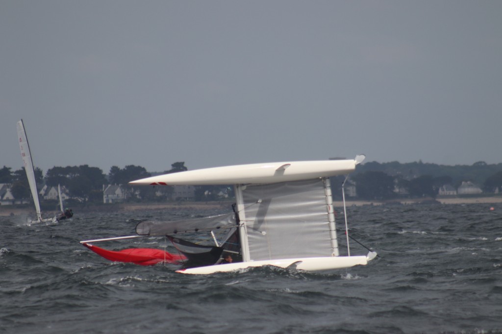Viper, photo 8